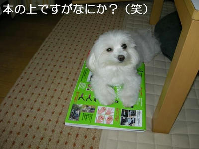 DSCN5776.JPG