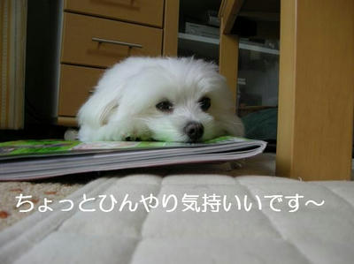 DSCN5779.JPG