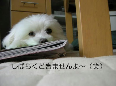 DSCN5781.JPG