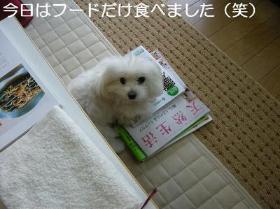 DSCN5895.JPG