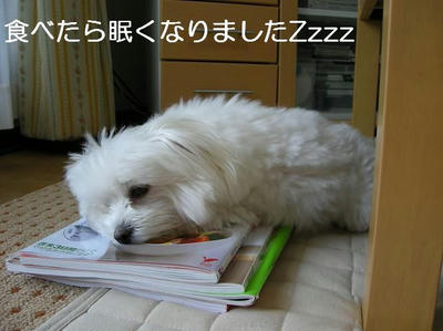 DSCN5897.JPG