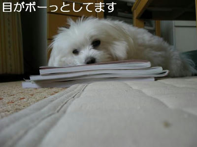 DSCN5898.JPG