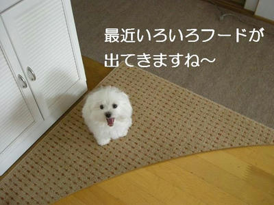 DSCN5910.JPG
