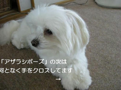 DSCN5933.JPG