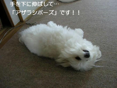DSCN5940.JPG