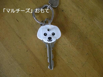 DSCN5948.JPG