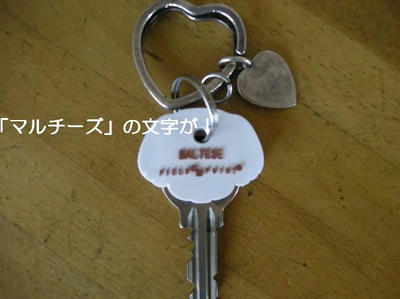 DSCN5949.JPG