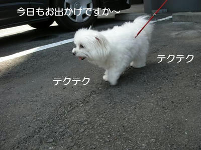 DSCN5953.JPG