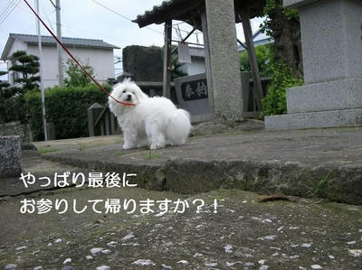 DSCN5978.JPG
