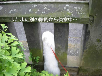 DSCN5983.JPG