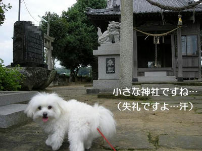 DSCN5985.JPG