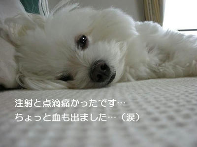 DSCN5836.JPG