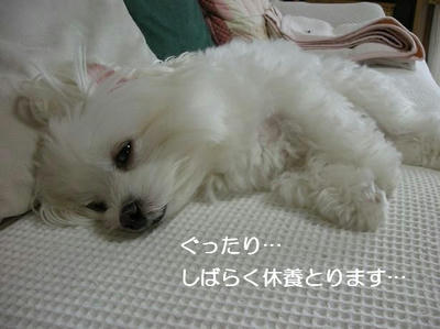 DSCN5837.JPG