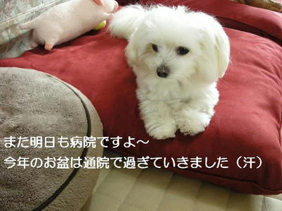 DSCN5841.JPG