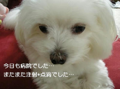 DSCN5843.JPG