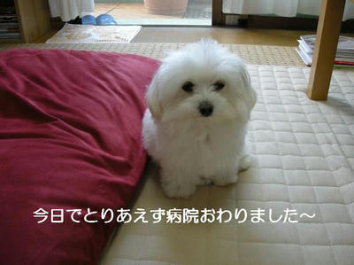 DSCN6004.JPG