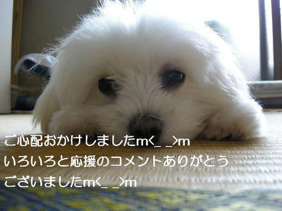 DSCN5929.JPG