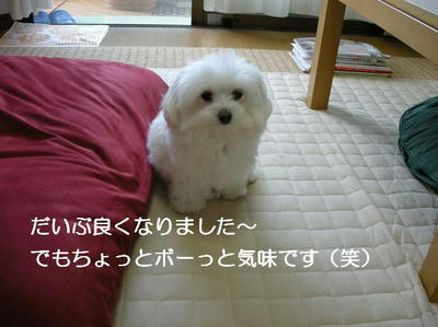 DSCN6002.JPG