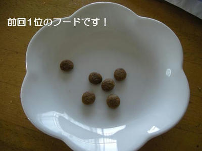 DSCN6034.JPG
