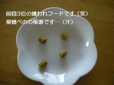 DSCN6035.JPG