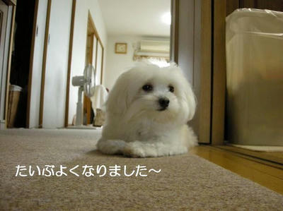 DSCN6016.JPG