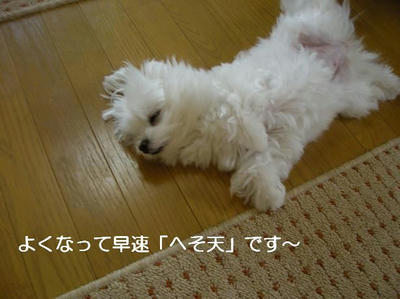 DSCN6053.JPG