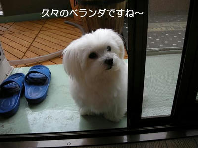 DSCN5225.JPG