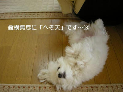 DSCN6037.JPG