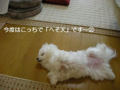 DSCN6044.JPG