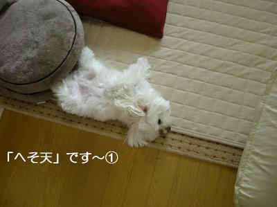 DSCN6086.JPG