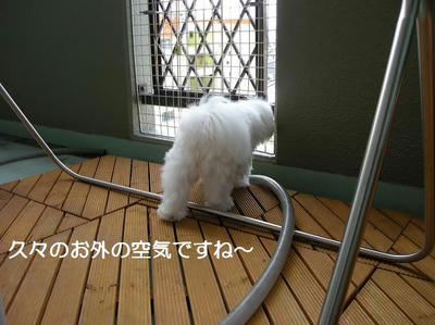 DSCN6107.JPG