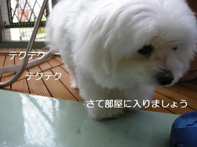 DSCN6115.JPG