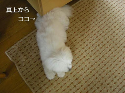 DSCN5784.JPG