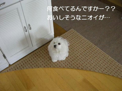 DSCN5909.JPG