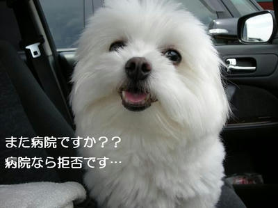 DSCN5681.JPG