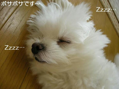 DSCN6051.JPG