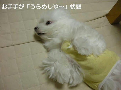 DSCN6120.JPG