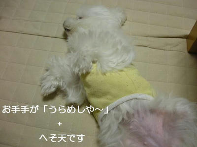DSCN6122.JPG
