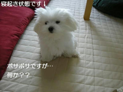 DSCN6132.JPG