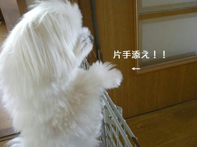 DSCN6148.JPG