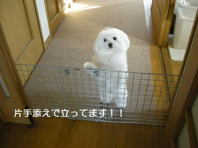 DSCN6156.JPG