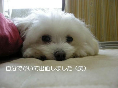 DSCN6024.JPG