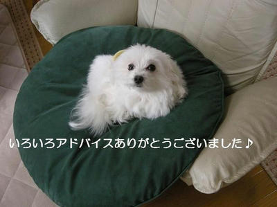 DSCN9225.JPG