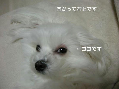 DSCN9247.JPG