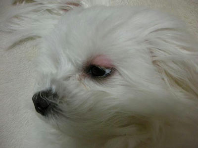DSCN9248.JPG
