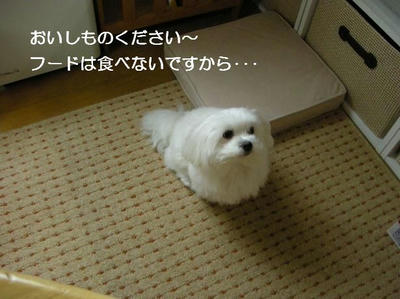 DSCN9241.JPG