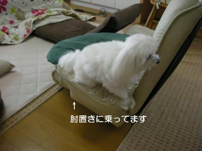 DSCN9256.JPG
