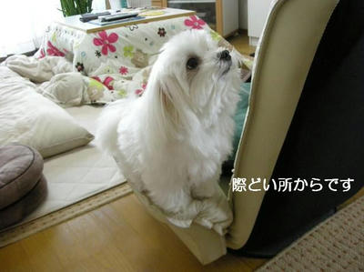 DSCN9257.JPG