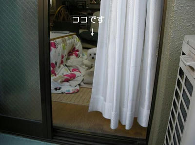 DSCN9347.JPG