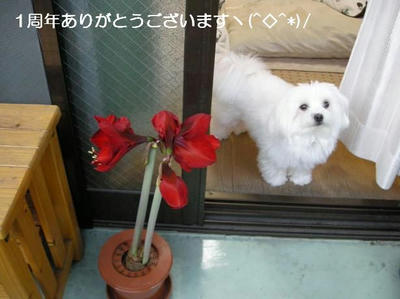 DSCN9350.JPG